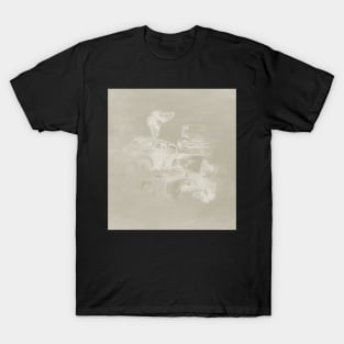 cars in secret forest T-Shirt